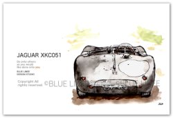 画像1: JAGUAR XKC051 b 